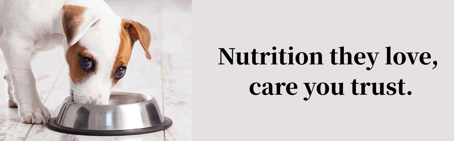 Nutritious Dog Food | Balanced Meals with Natural Ingredients for Healthy and Active Dogs